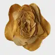 аксессуары female