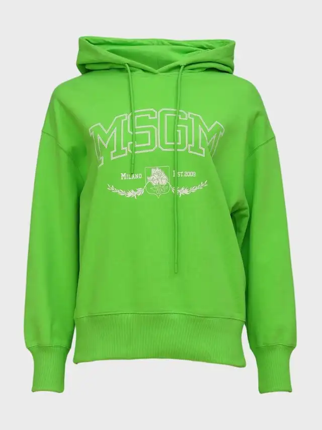 худи 26122025zelhudimsgm - фото 1