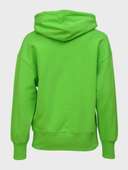 худи 26122025zelhudimsgm - фото 2