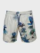 шорты - фото 1