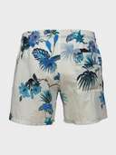 шорты - фото 3